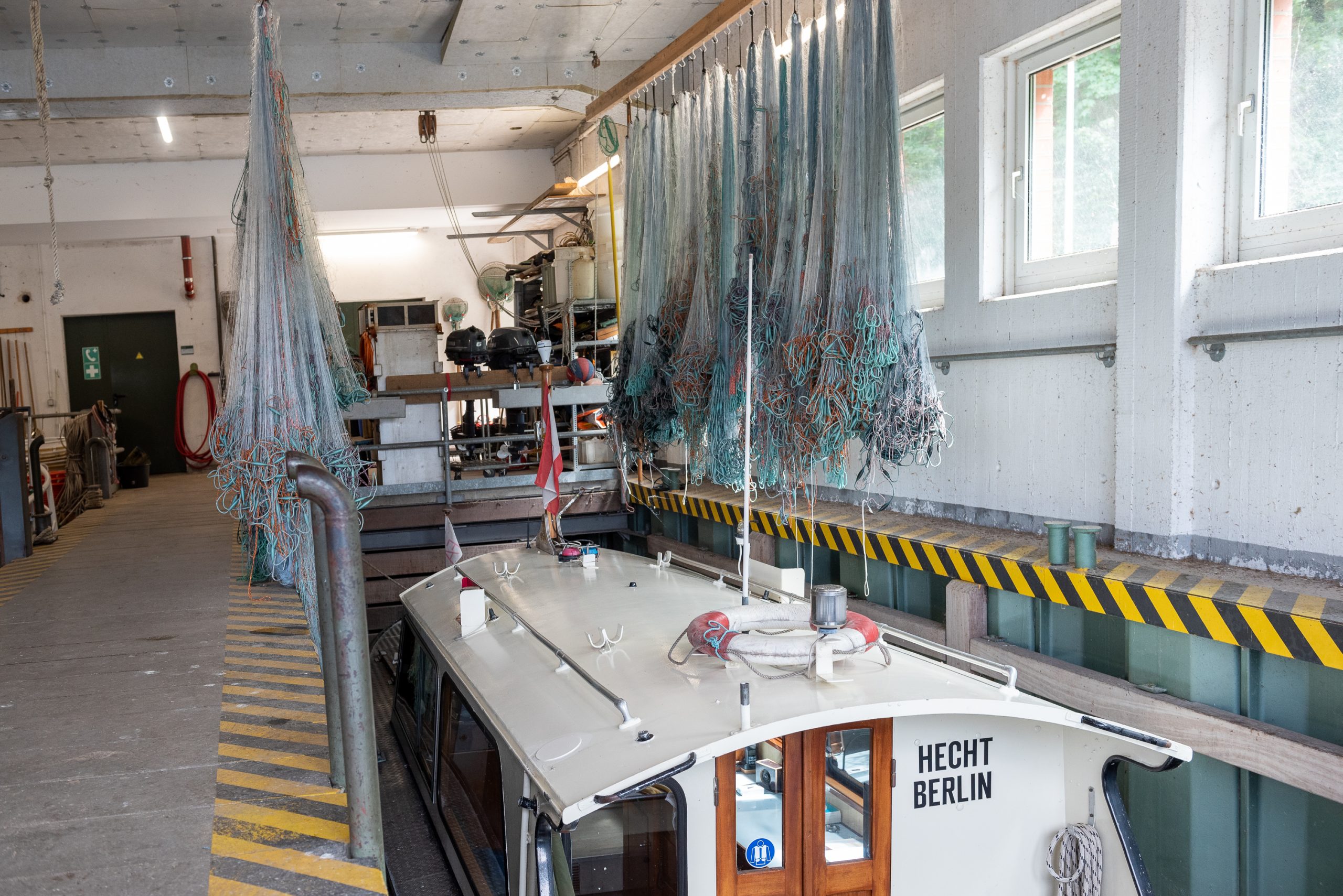 Mehr über den Artikel erfahren Mein Fisch