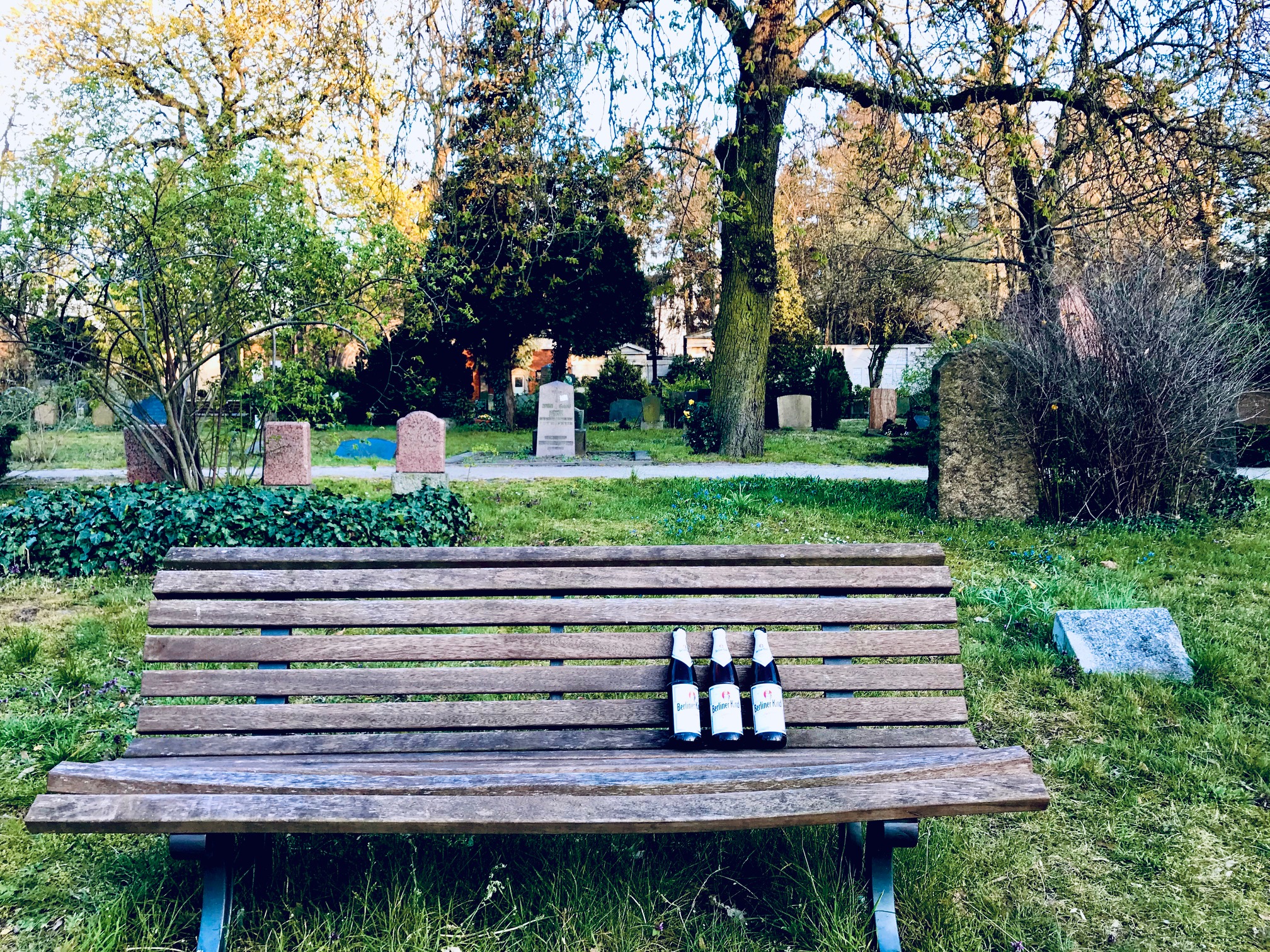 Mehr über den Artikel erfahren Ende