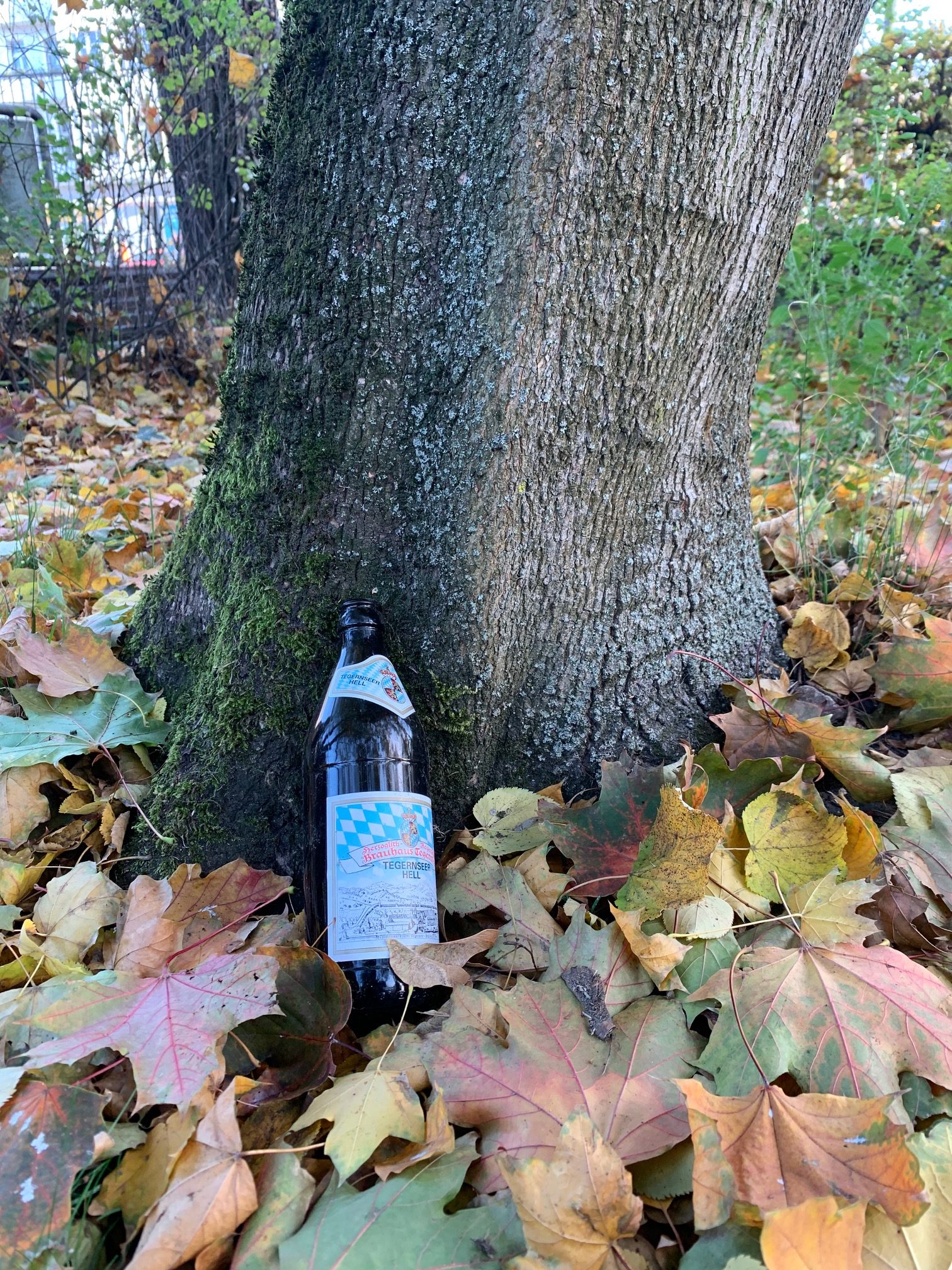 Mehr über den Artikel erfahren Druck